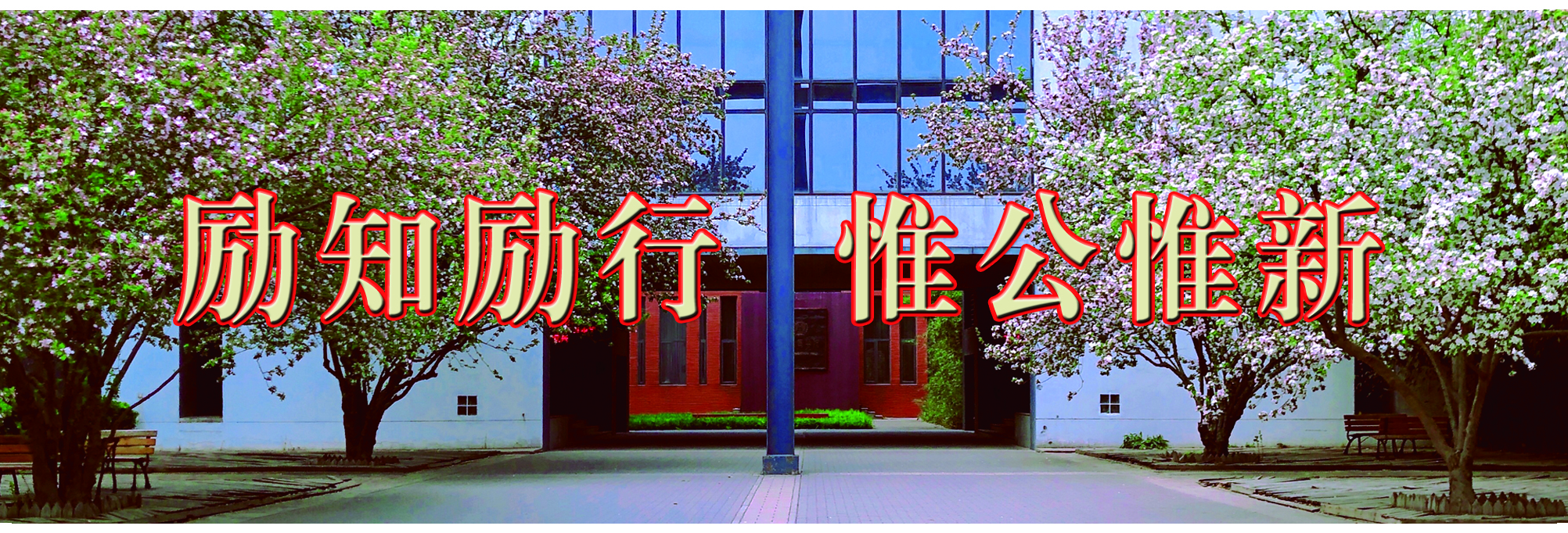 足球投注app